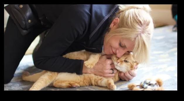Professional pet care — bonding with a dog